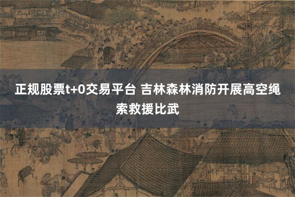 正规股票t+0交易平台 吉林森林消防开展高空绳索救援比武