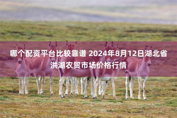 哪个配资平台比较靠谱 2024年8月12日湖北省洪湖农贸市场价格行情