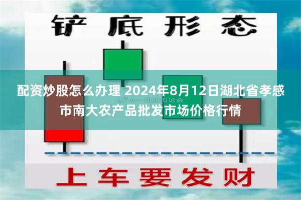 配资炒股怎么办理 2024年8月12日湖北省孝感市南大农产品批发市场价格行情