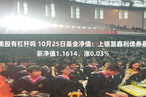 美股有杠杆吗 10月25日基金净值：上银慧鑫利债券最新净值1.1614，涨0.03%