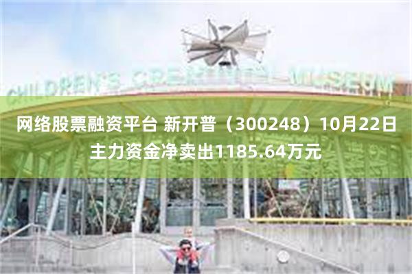 网络股票融资平台 新开普（300248）10月22日主力资金净卖出1185.64万元