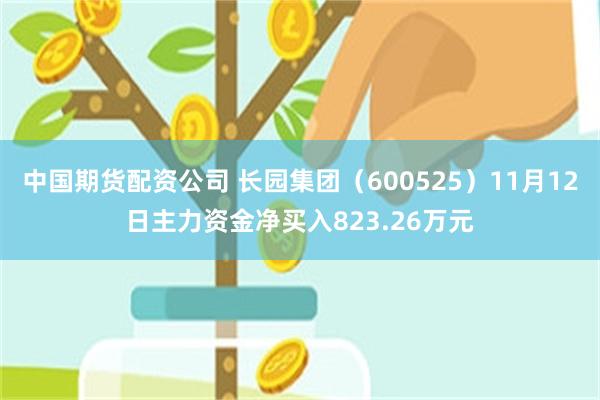 中国期货配资公司 长园集团（600525）11月12日主力资金净买入823.26万元