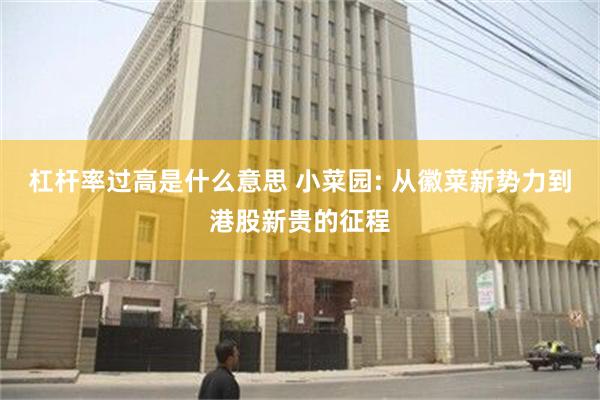 杠杆率过高是什么意思 小菜园: 从徽菜新势力到港股新贵的征程