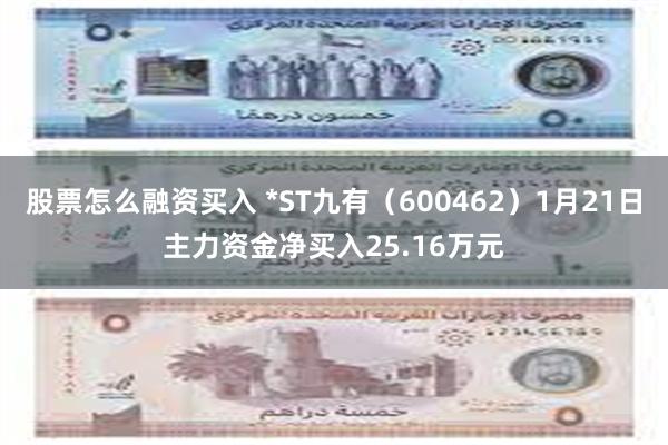 股票怎么融资买入 *ST九有（600462）1月21日主力资金净买入25.16万元