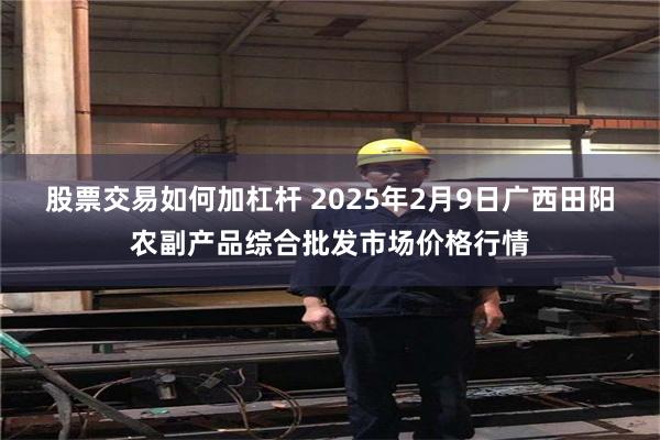 股票交易如何加杠杆 2025年2月9日广西田阳农副产品综合批发市场价格行情