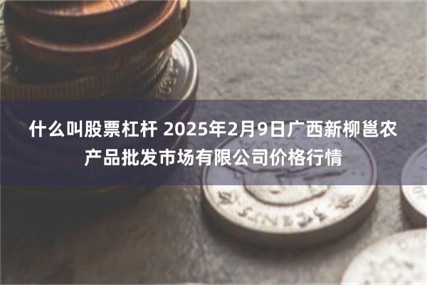 什么叫股票杠杆 2025年2月9日广西新柳邕农产品批发市场有限公司价格行情