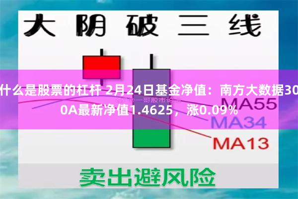 什么是股票的杠杆 2月24日基金净值：南方大数据300A最新净值1.4625，涨0.09%